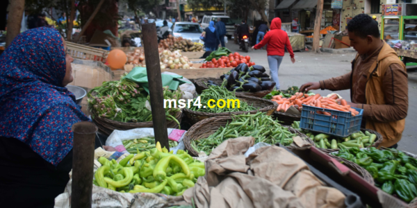 أسعار الخضروات اليوم الاربعاء 6-10-2019 في الأسواق المصرية والكوسة ب 3.5ج
