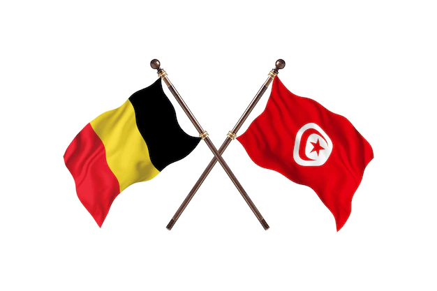 موعد مباراة تونس وبلجيكا في كأس العالم لكرة اليد 2023 