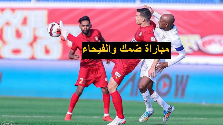 موعد مباراة ضمك والفيحاء في دوري روشن السعودي 