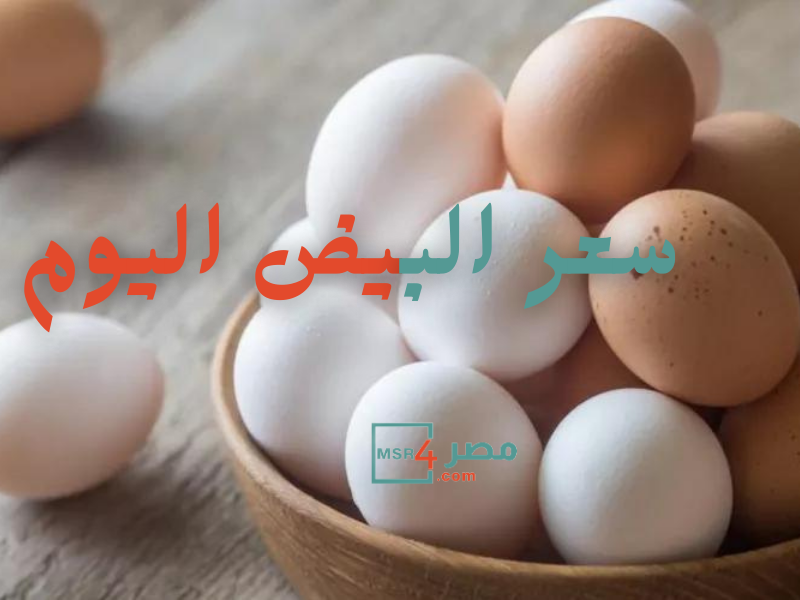 سعر البيض اليوم الأحد في مصر 12-3-2023.. أسعار بورصة البيض واستقرار ملحوظ وبدايات مبشرة
