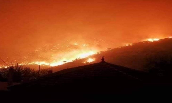 عدد ضحايا حريق غابات الساكت في الجزائر